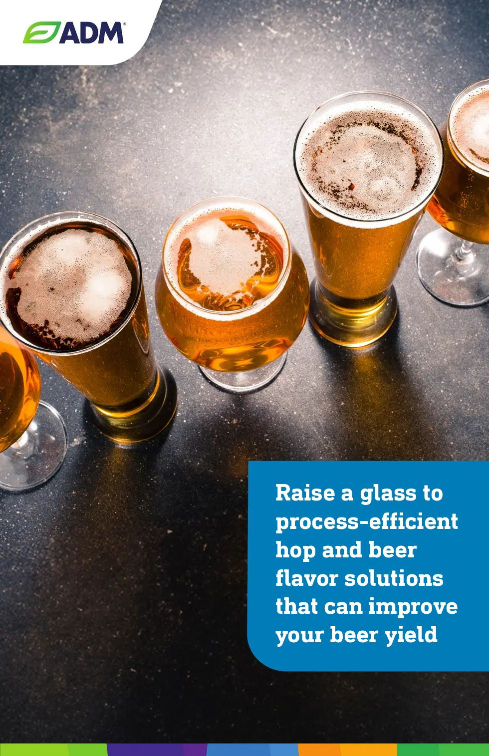 ADM 2024 Hops and Beer Case Study