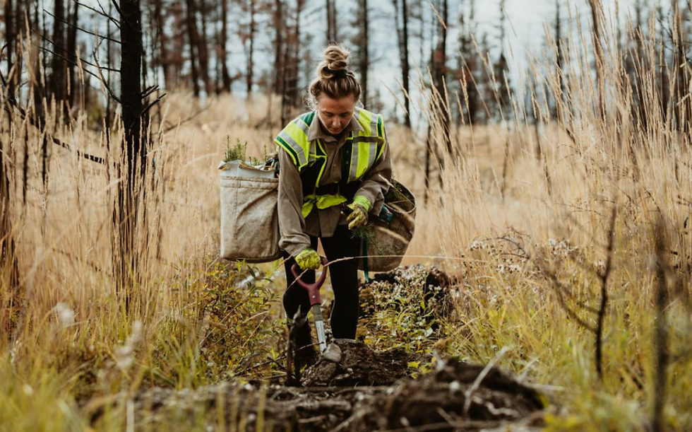 Tetra Pak sets out ‘Approach to Nature’ framework