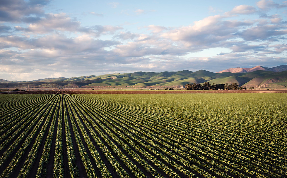 BioConsortia raises $15m in funding for advanced microbial solutions