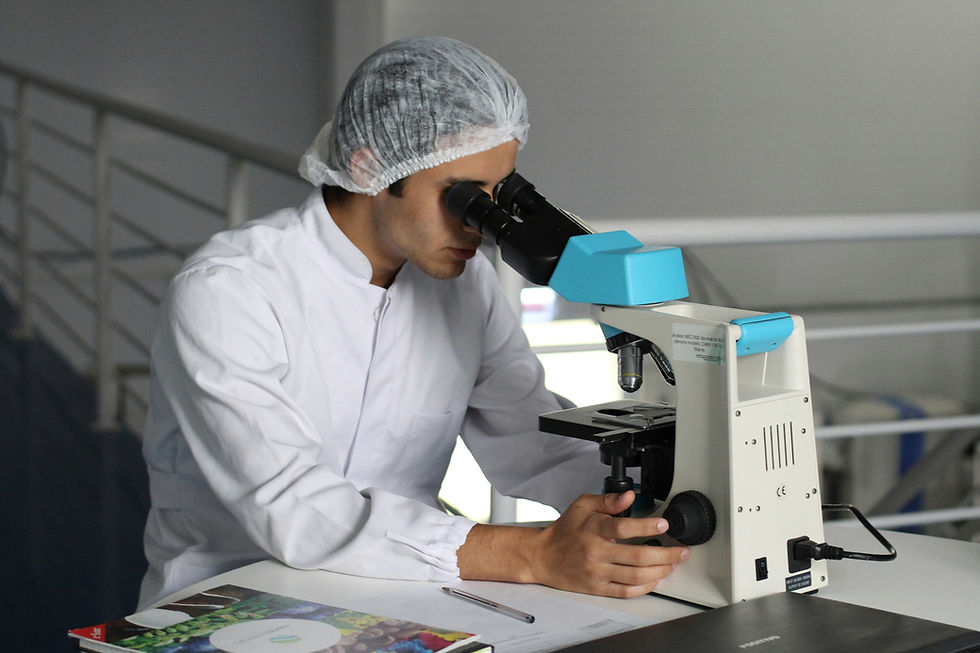 Researchers develop clove oil-based emulsion with antibacterial properties for food safety
