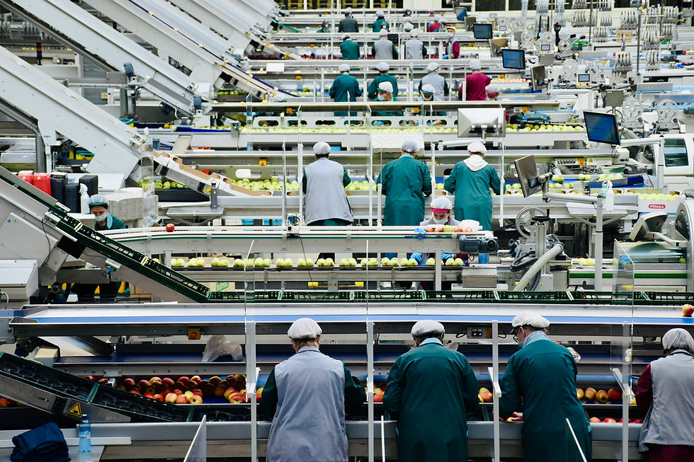 The four pillars that underpin a strong food safety culture
