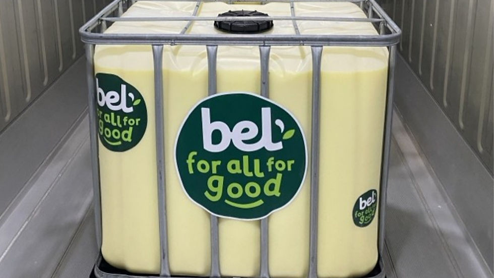 Bel North America names Peter McGuinness CEO amid expansion push