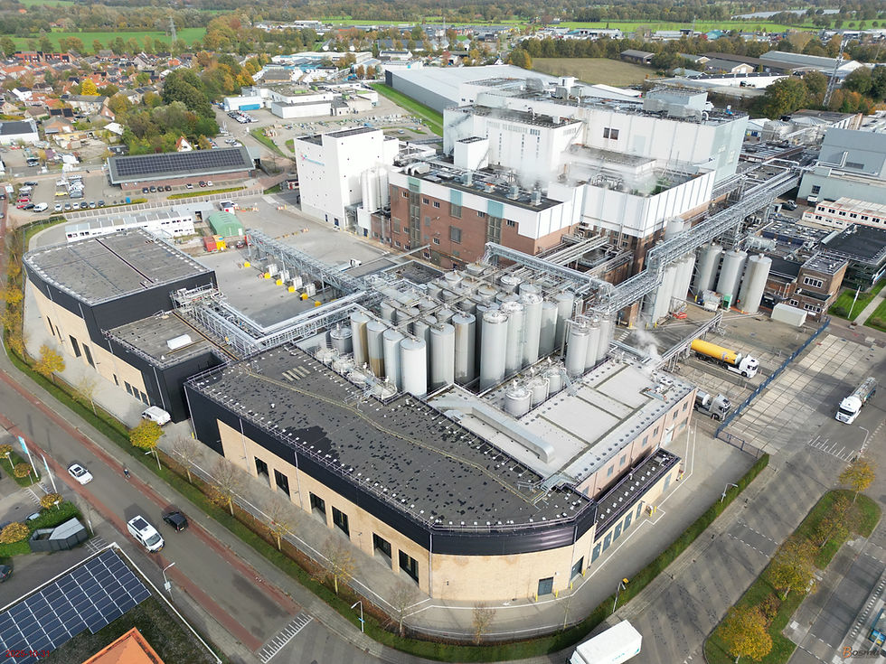 FrieslandCampina Ingredients doubles protein capacity with Borculo expansion
