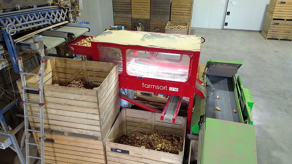 IDS camera technology to help precision potato sorting