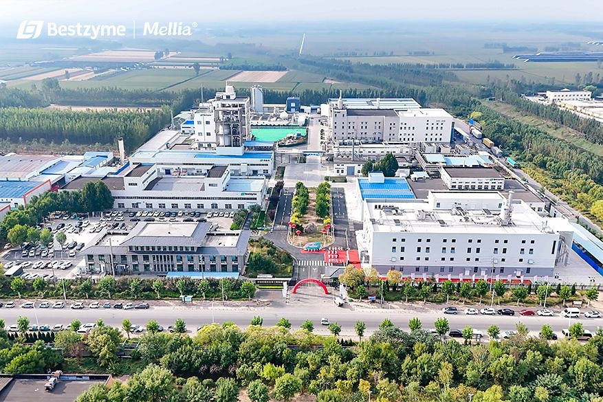 Bestzyme completes automated sweet protein production line in China