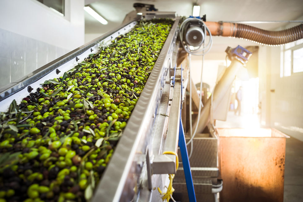 Cut the waste, keep the taste: Why variable speed motors are the secret ingredient in F&B production