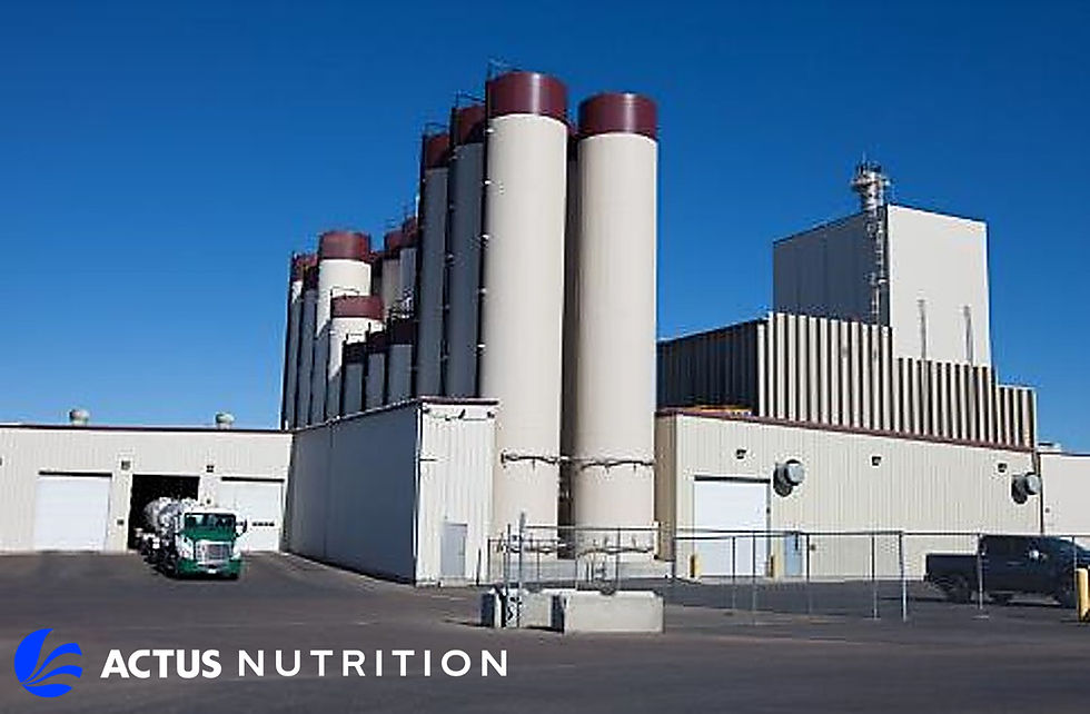 Actus Nutrition and Darigold forge strategic partnership to expand speciality dairy protein production