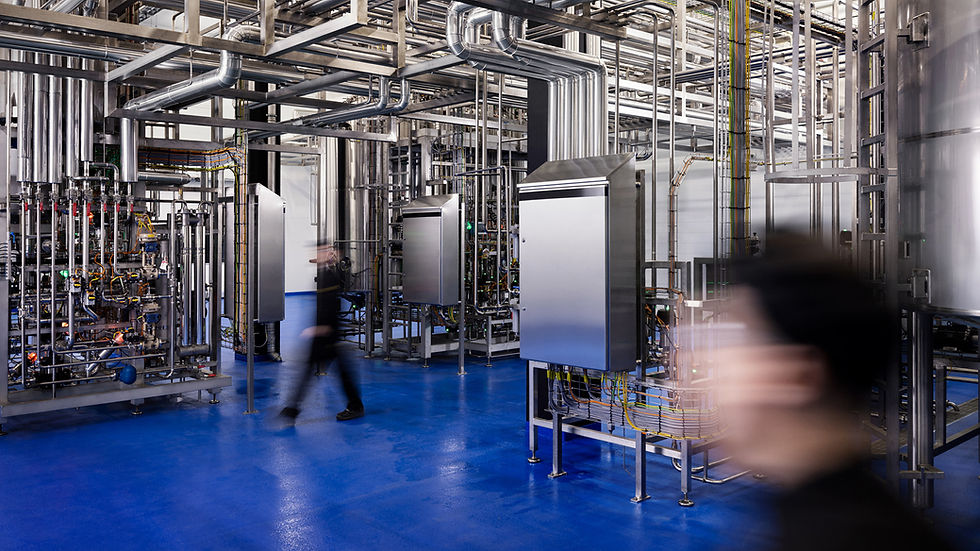 Solar Foods joins one of Europe’s largest cross-border hydrogen valley projects to scale air-based protein production