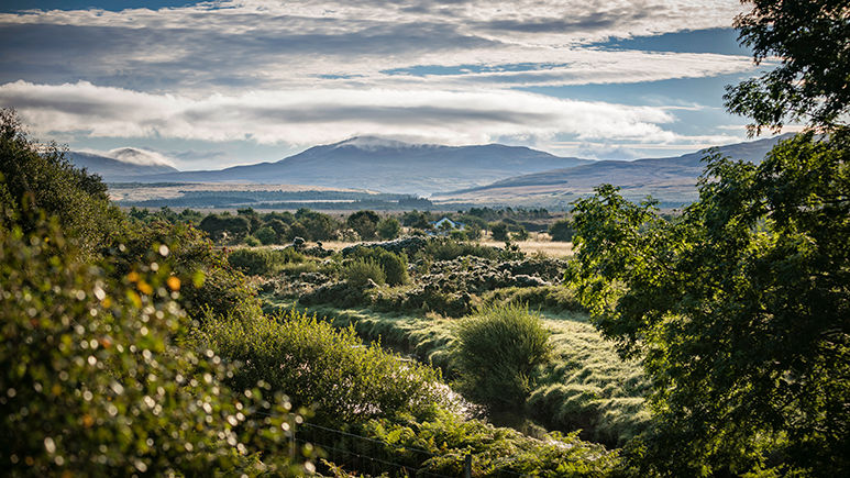 Diageo commits £5m to restore Scotland’s peatlands and futureproof Scotch whisky