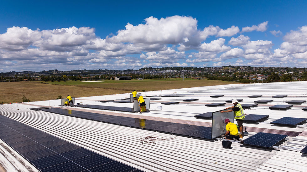 Lion installs solar panels on New Zealand’s largest brewery