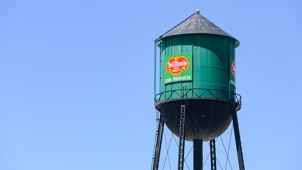 Del Monte Foods files for Chapter 11 bankruptcy, plans sale of business