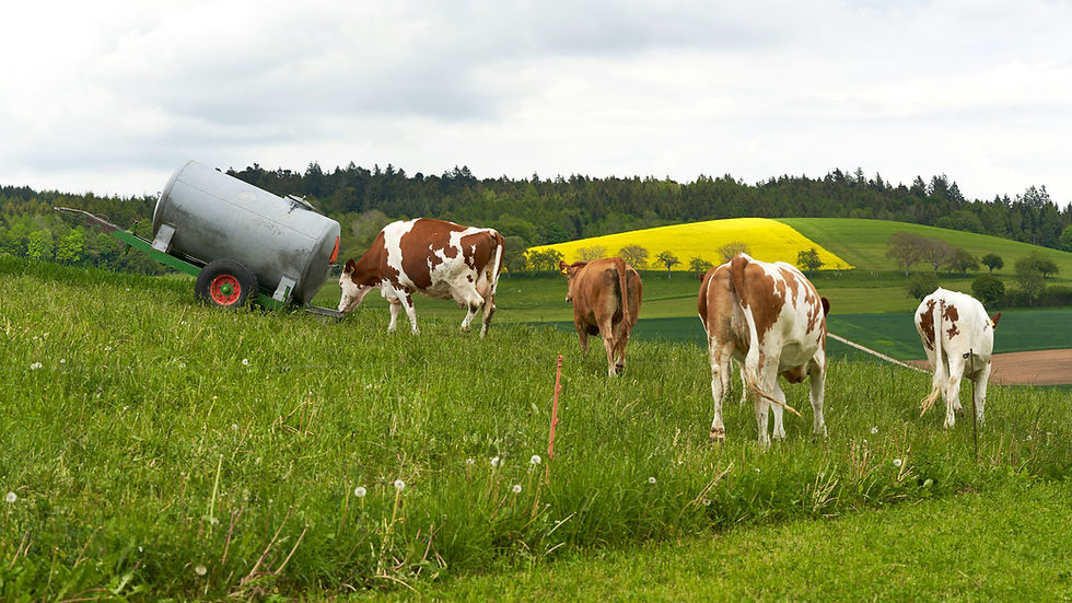 Swiss startup takes methane reduction technology from lab to dairy farm