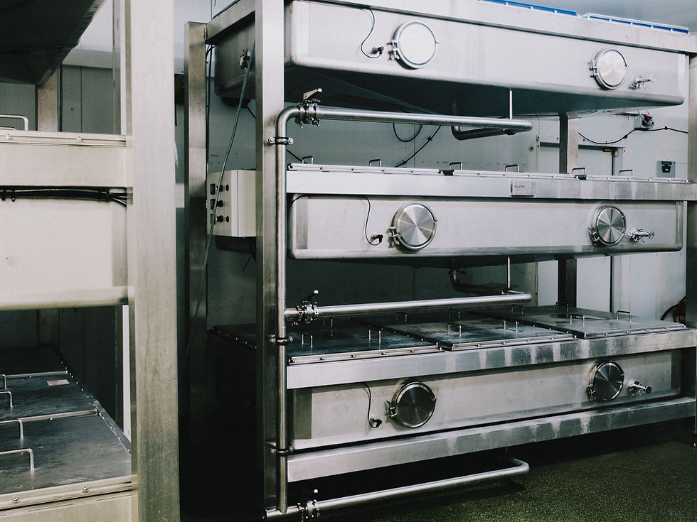 Momo Kombucha invests in custom fermentation technology and new brewery to support growth