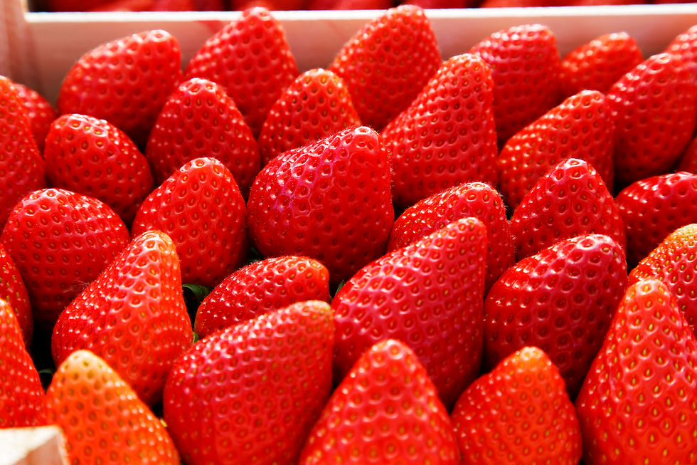 Fuel Britannia: Strengthening nutrition through fruit and vegetable awareness