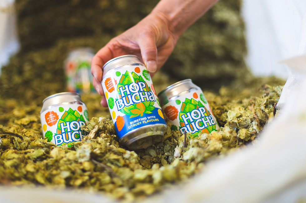 Theakston and Equinox launch Hopbucha alcohol-free beer and kombucha hybrid