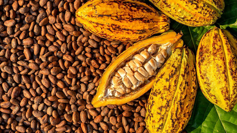 CPI joins €6.3m project to develop AI-powered alternatives for climate-vulnerable ingredients