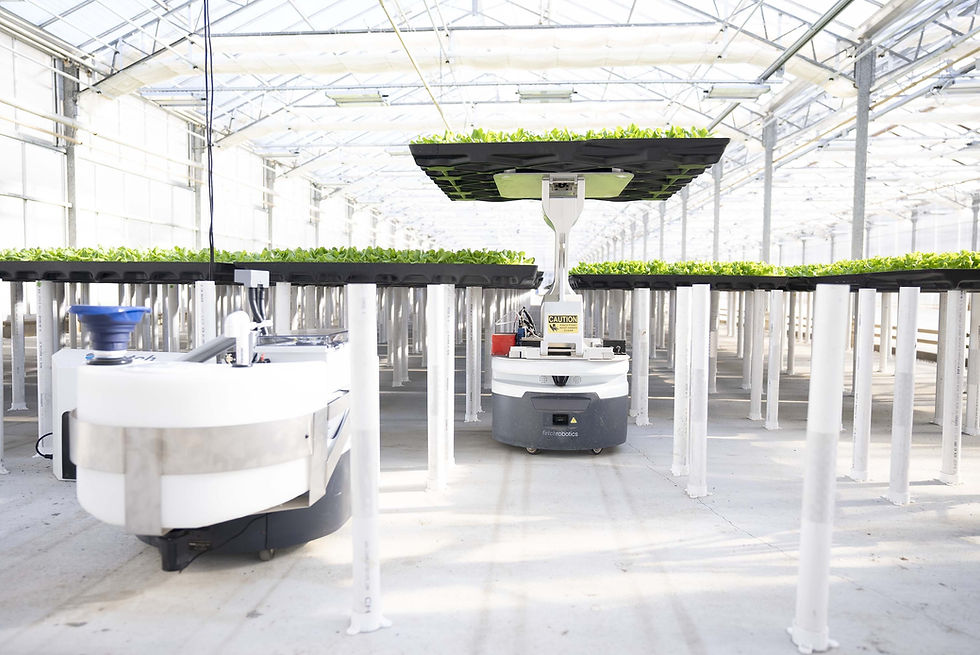 Hippo Harvest secures $30m funding to scale robotic organic greenhouse production