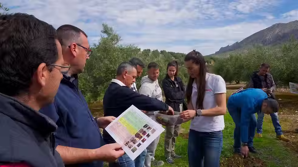 PepsiCo Foundation expands regenerative olive farming programme in Spain
