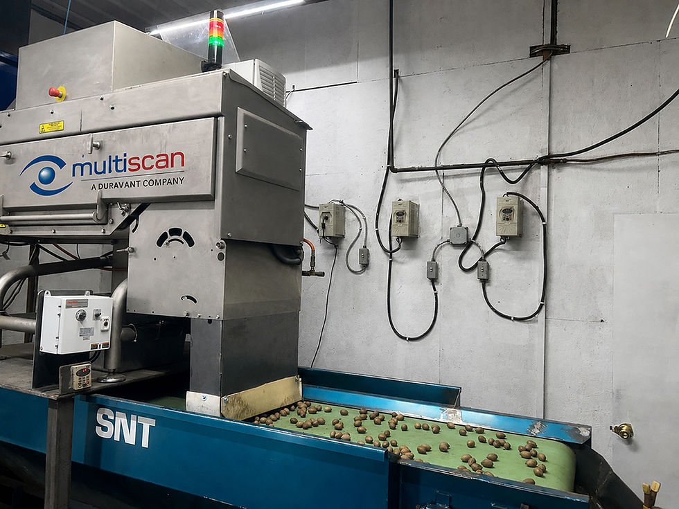 Weco launches X-ray inspection system for in-shell nuts