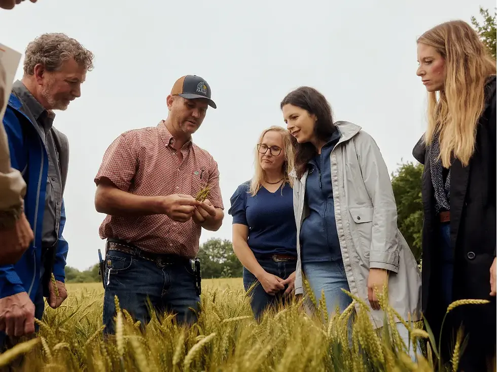 General Mills, ADM and Walmart partner on regenerative agriculture across 40,000 Midwest wheat acres