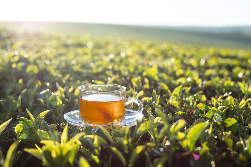 What's holding back traceability in tea and coffee in 2026?