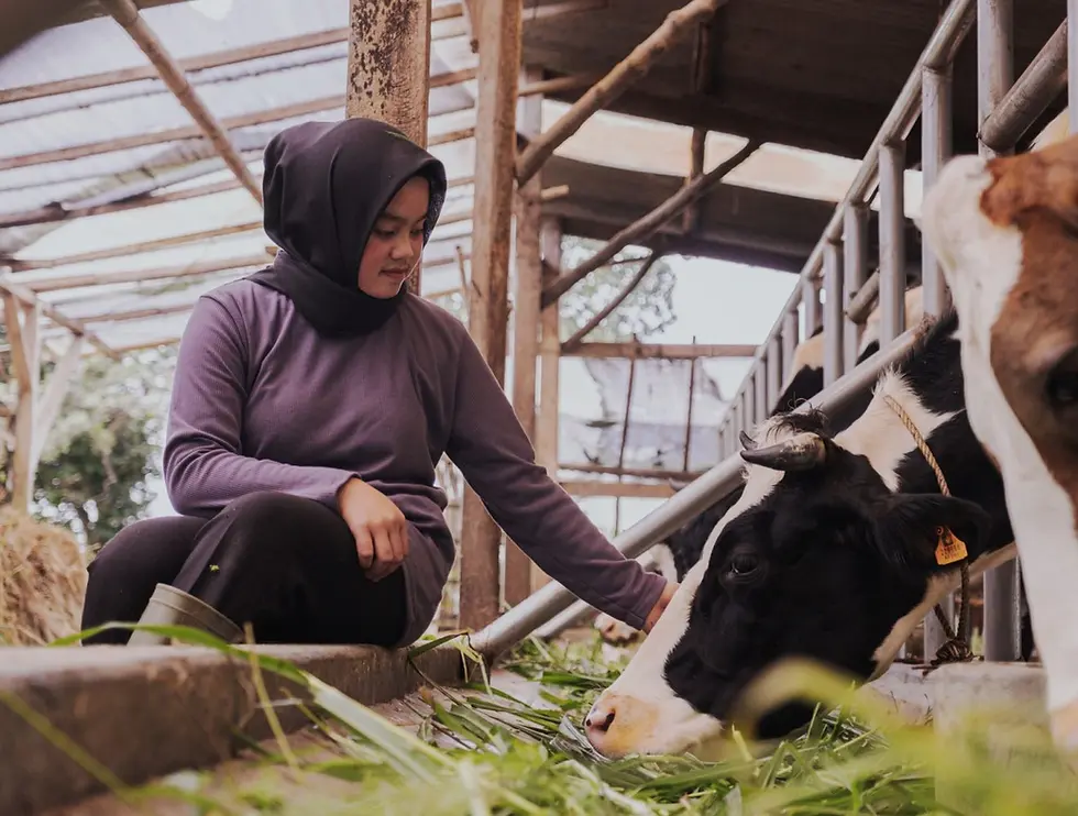FrieslandCampina and Ultrajaya strike strategic partnership as Frisian Flag Indonesia joins Indonesian beverage group