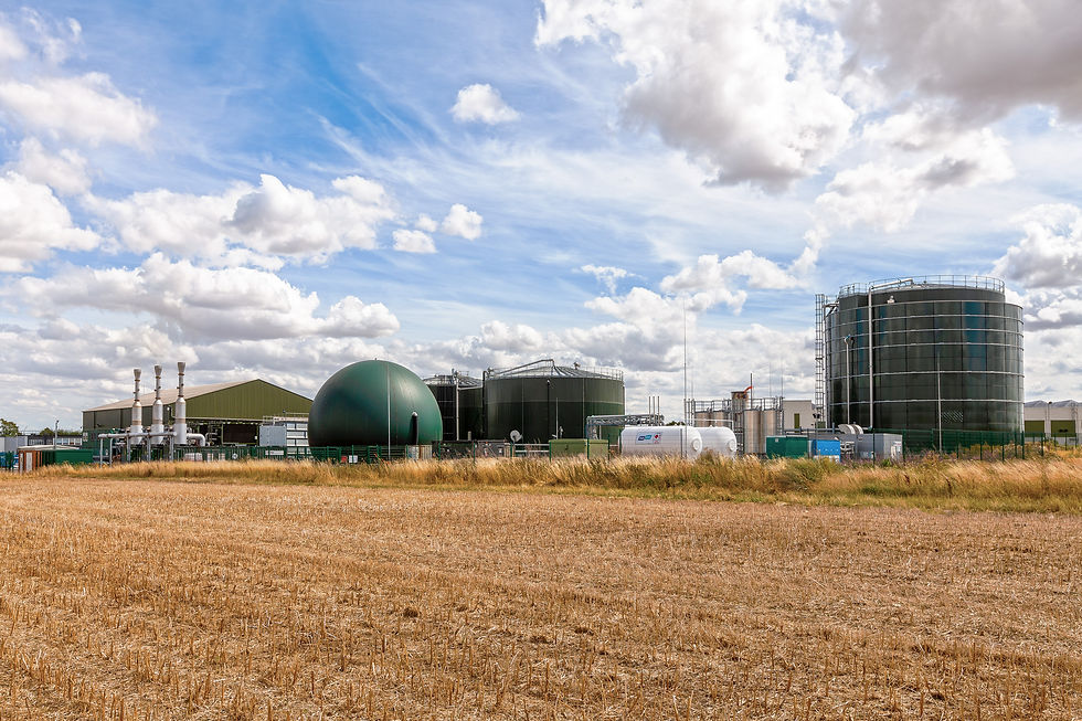 Opinion: Maximising the benefits of food waste recycling through anaerobic digestion 