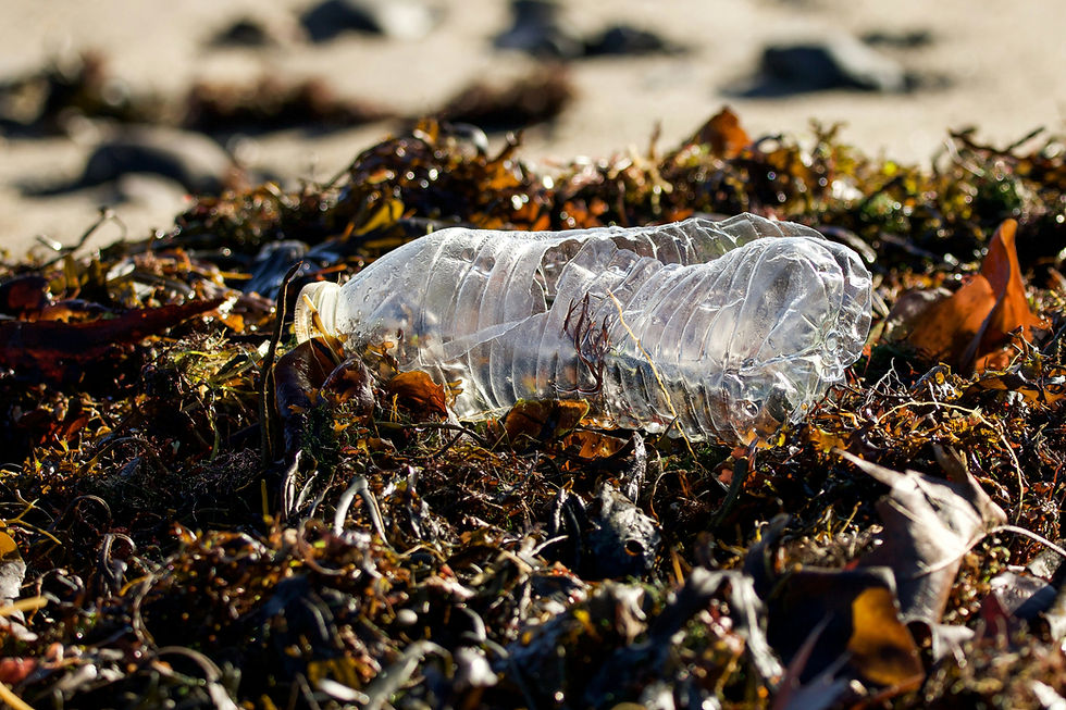 Opinion: How the plastics treaty’s collapse puts food security at risk