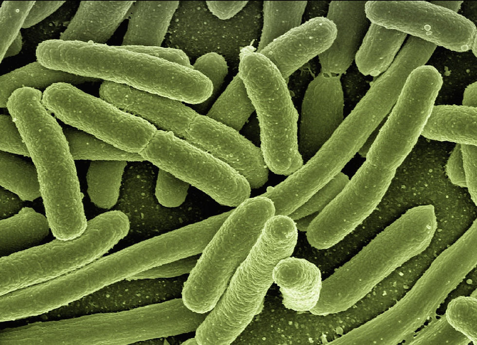 Beyond the biofilm: Tackling mould and bacterial contamination