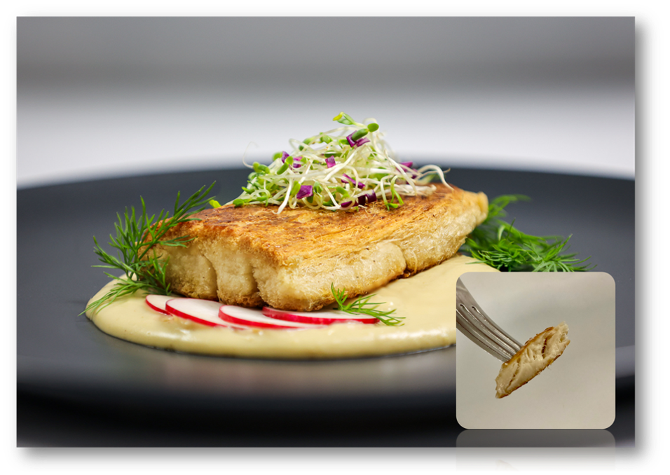 Atlantic Fish Co secures $1.2m funding to advance cultivated whitefish