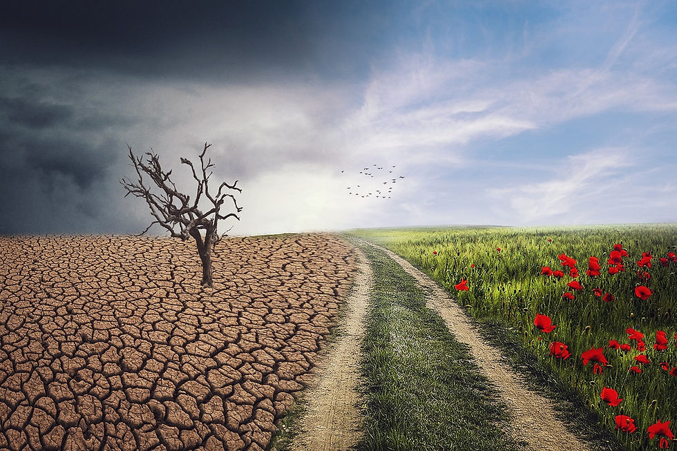 When weather turns uncertain: Building agricultural systems for a changing climate