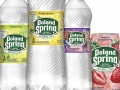 Nestle Waters Poland Spring Product Variety