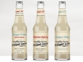 Brooklyn Crafted Ginger Beverages