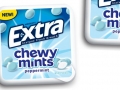 Extra Mints - Peppermint - Mars Incorporated