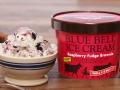 Blue Bell raspberry fudge brownie ice cream