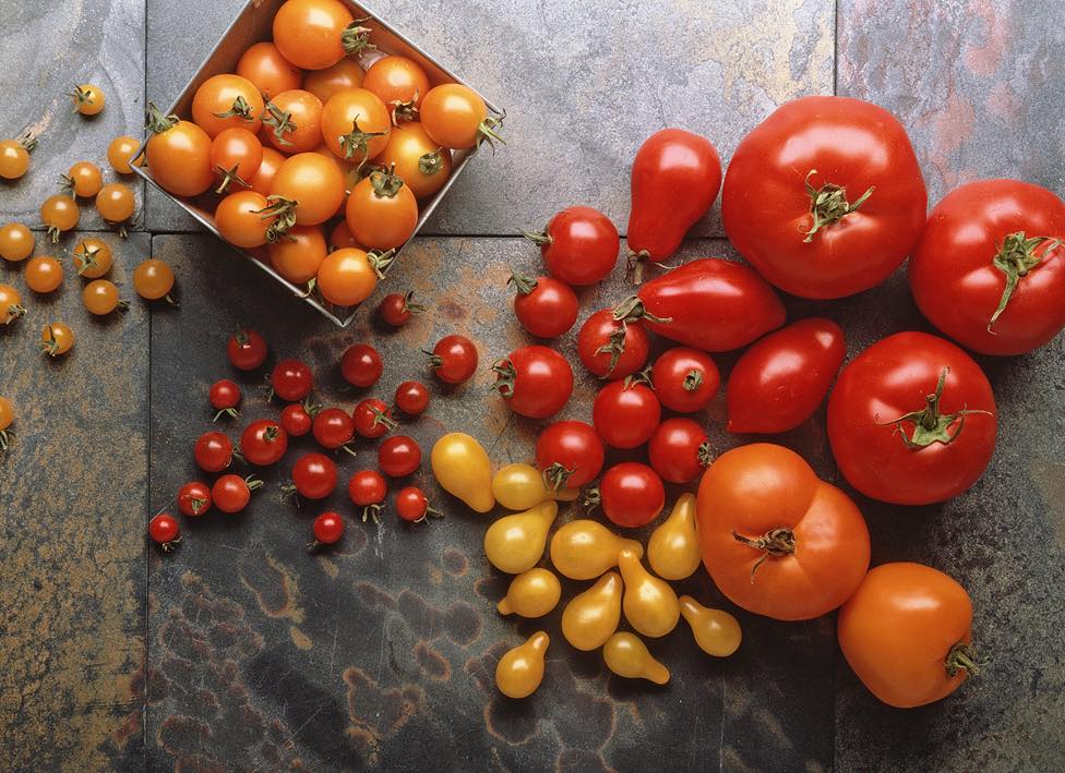 Tomato lycopene may support bone health, says USDA