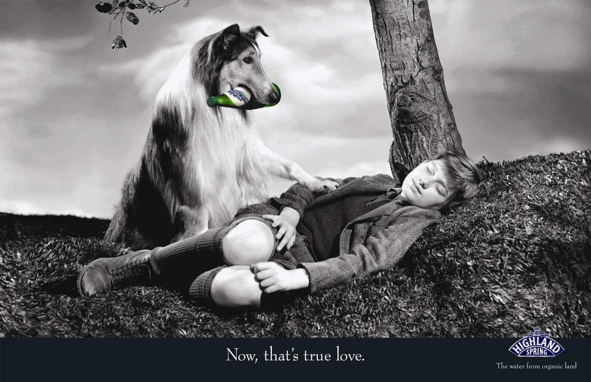 Lassie stars in new Highland Spring UK adverts