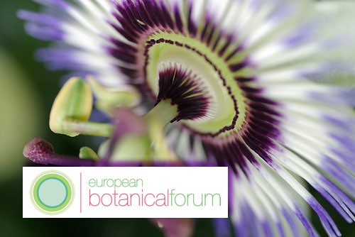 Concerns heighten for botanicals in EFSA claims process