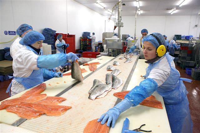 Dawnfresh unveils £1m+ trout factory