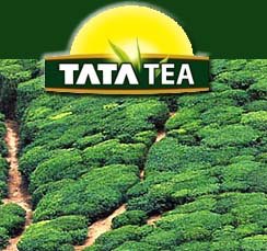 Tata Tea restates acquisition plans