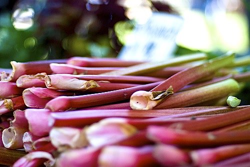 How to beat cancer with rhubarb