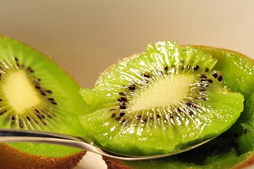 Chilean kiwifruit dramatically affected by disease