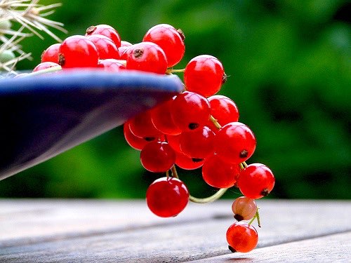 Britain goes mad for British Berries, says Waitrose