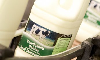 Largest dairy in Wales planned