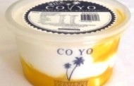 Co Yo Coconut Milk Yoghurt