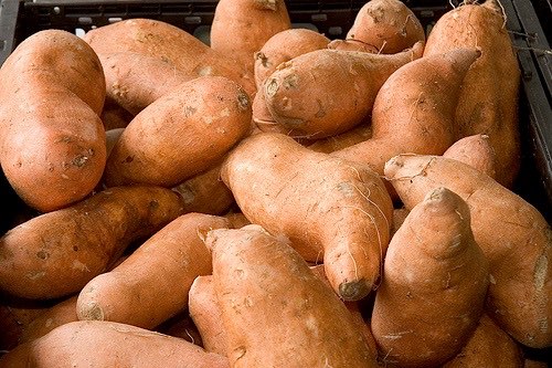 Scott Farms uses PR firm for sweet potato campaign