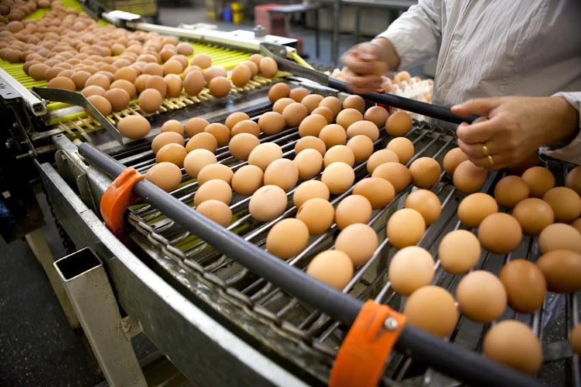 What we can learn from the British egg market