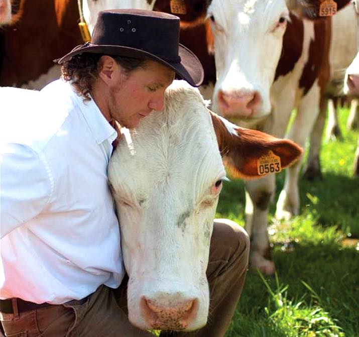 Are Comté cows the world’s most pampered?
