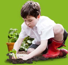 Morrisons launches year four of Let's Grow programme