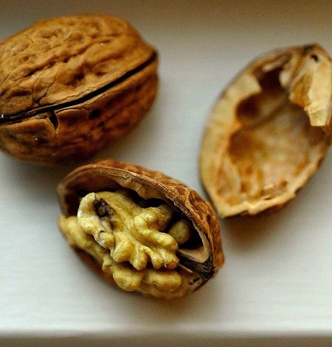 Walnuts boost cognitive function, says study
